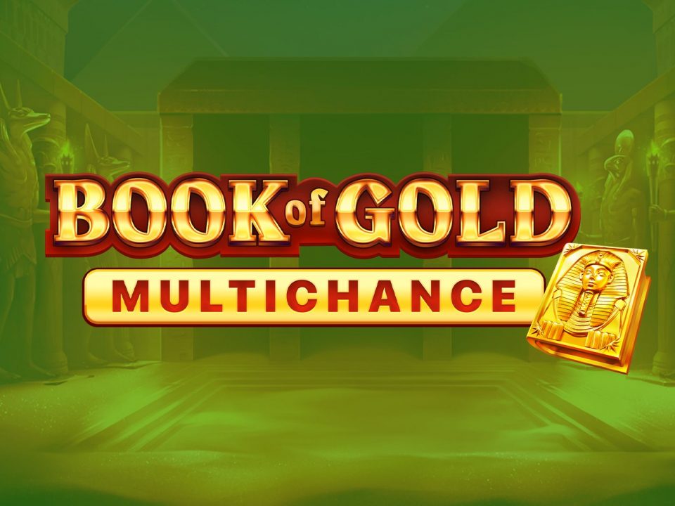 Book Of Gold Multichance slot online playson