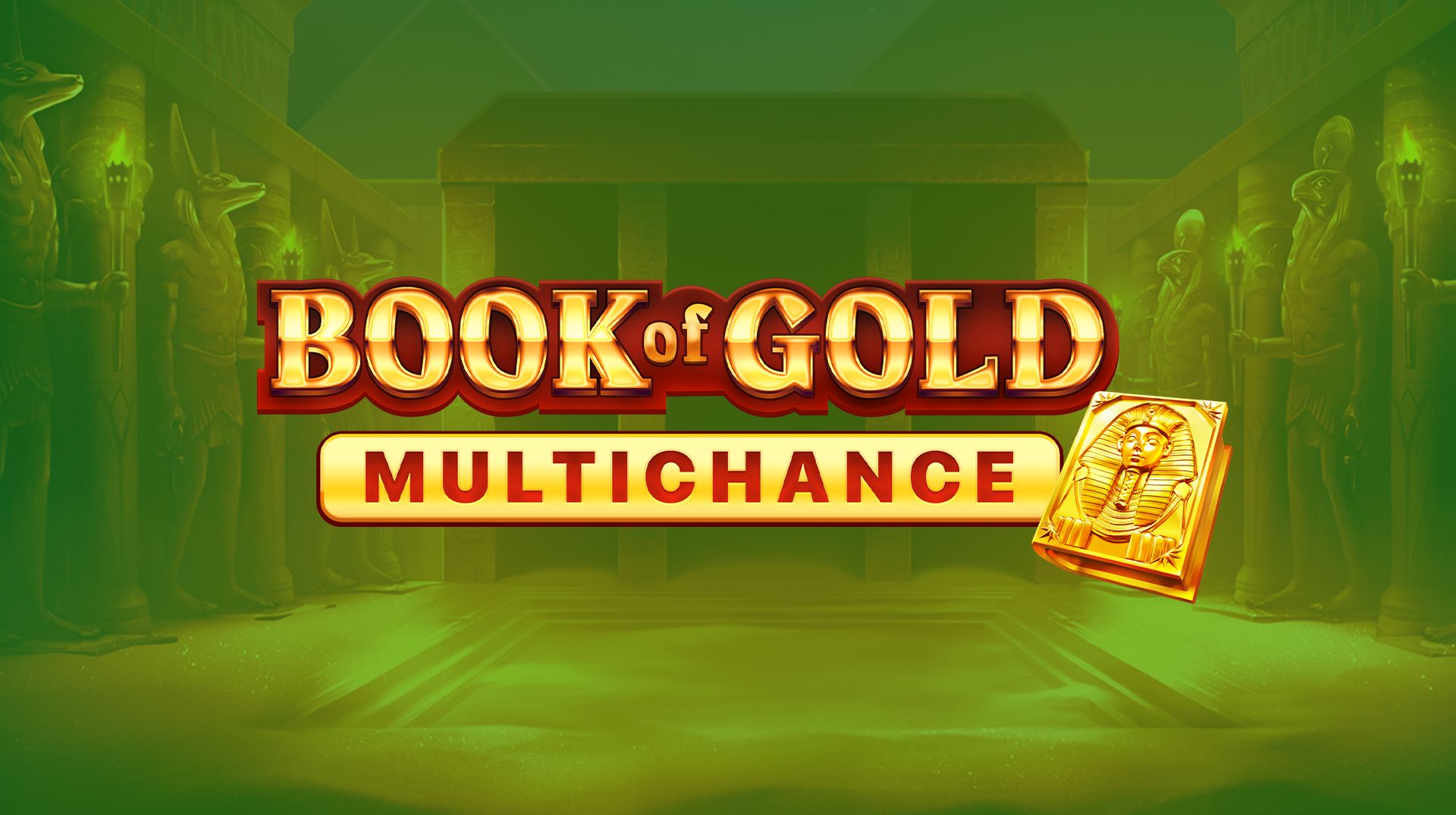 Book Of Gold Multichance slot online playson